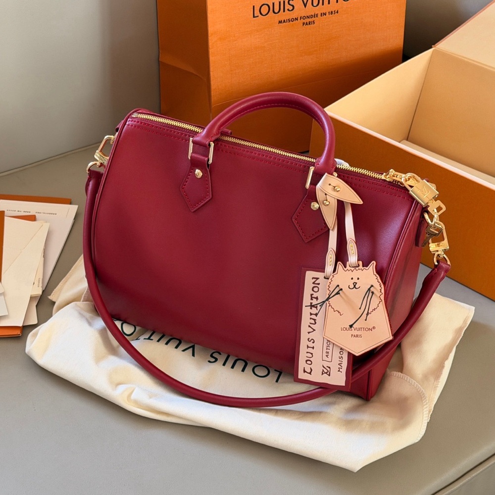 LOUIS VUITTON new lv bag